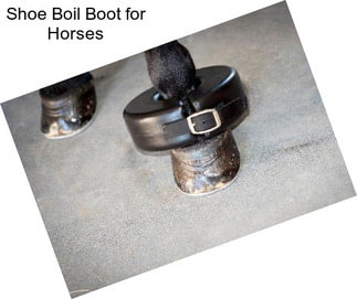 Shoe Boil Boot for Horses