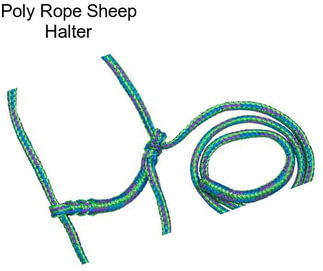 Poly Rope Sheep Halter