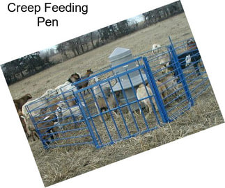 Creep Feeding Pen