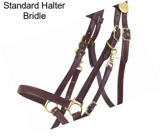 Standard Halter Bridle