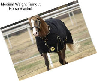 Medium Weight Turnout Horse Blanket