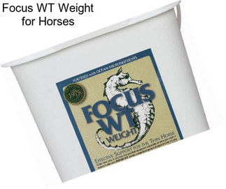 Focus WT Weight for Horses