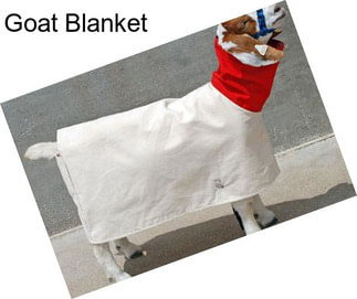Goat Blanket