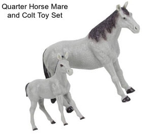 Quarter Horse Mare and Colt Toy Set