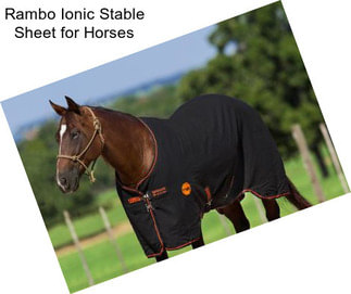 Rambo Ionic Stable Sheet for Horses