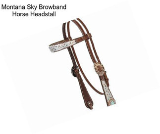 Montana Sky Browband Horse Headstall