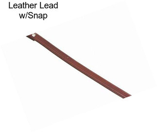 Leather Lead w/Snap