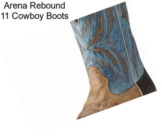 Arena Rebound 11\