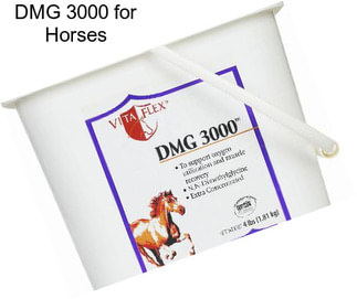 DMG 3000 for Horses