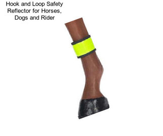 Hook and Loop Safety Reflector for Horses, Dogs and Rider