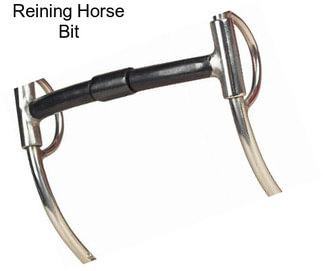 Reining Horse Bit