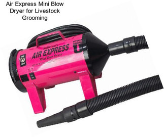 Air Express Mini Blow Dryer for Livestock Grooming