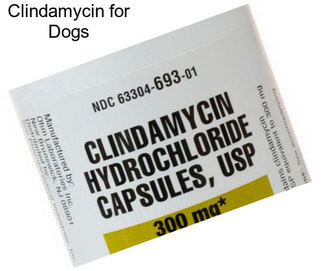 Clindamycin for Dogs