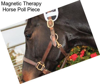 Magnetic Therapy Horse Poll Piece