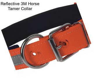 Reflective 3M Horse Tamer Collar