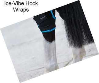 Ice-Vibe Hock Wraps