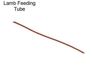 Lamb Feeding Tube