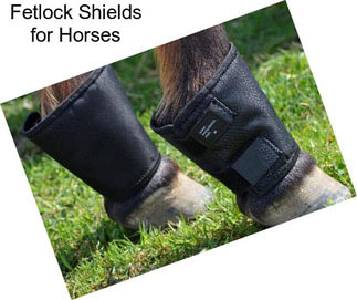 Fetlock Shields for Horses