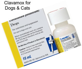 Clavamox for Dogs & Cats