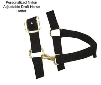 Personalized Nylon Adjustable Draft Horse Halter