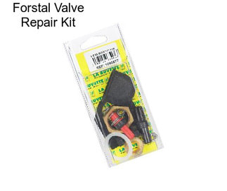 Forstal Valve Repair Kit