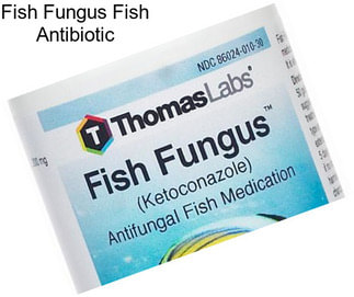 Fish Fungus Fish Antibiotic