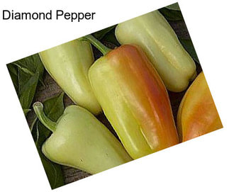 Diamond Pepper