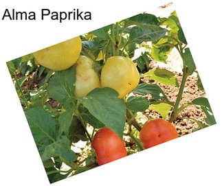 Alma Paprika