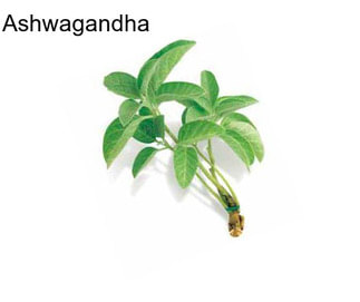 Ashwagandha