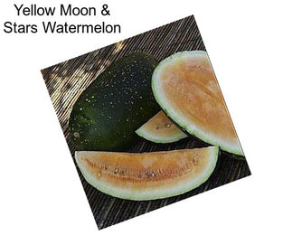 Yellow Moon & Stars Watermelon