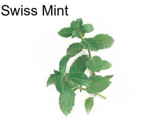 Swiss Mint