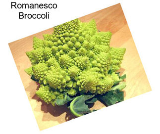 Romanesco Broccoli