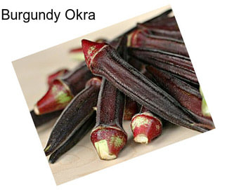 Burgundy Okra