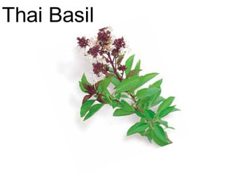 Thai Basil