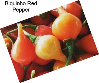 Biquinho Red Pepper