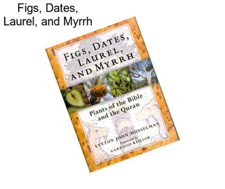 Figs, Dates, Laurel, and Myrrh