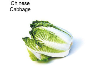 Chinese Cabbage