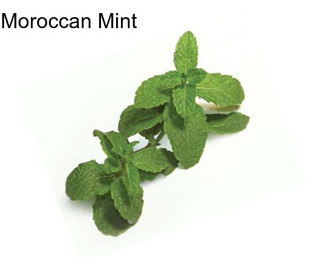 Moroccan Mint