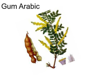 Gum Arabic