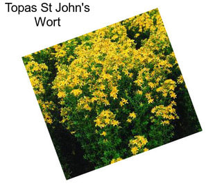 Topas St John\'s Wort