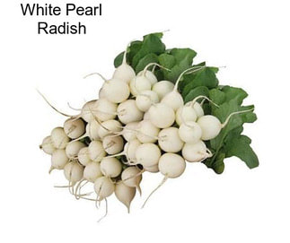 White Pearl Radish