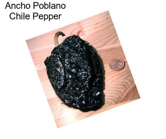 Ancho Poblano Chile Pepper