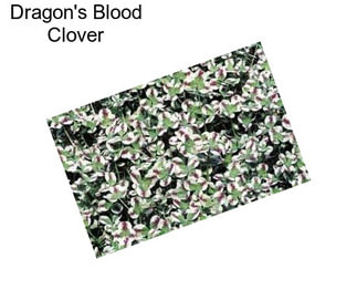 Dragon\'s Blood Clover