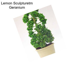 Lemon Sculpturetm Geranium