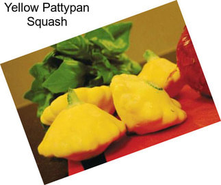 Yellow Pattypan Squash