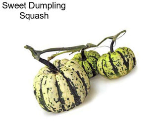 Sweet Dumpling Squash