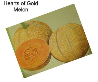 Hearts of Gold Melon