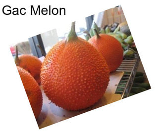 Gac Melon