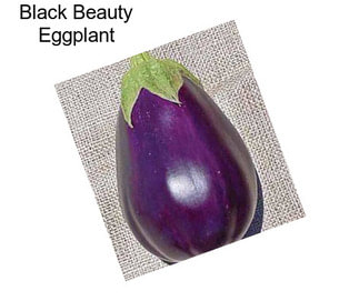 Black Beauty Eggplant