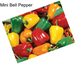 Mini Bell Pepper